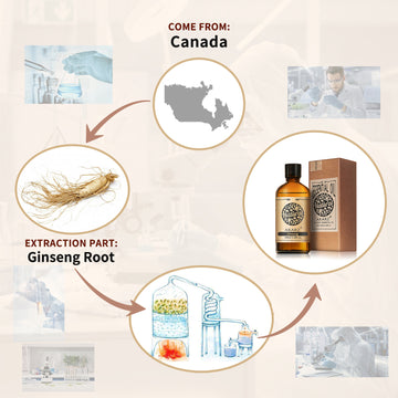 Ginseng Essential Oil AKARZ Natural And Pure (30ML 100ML )